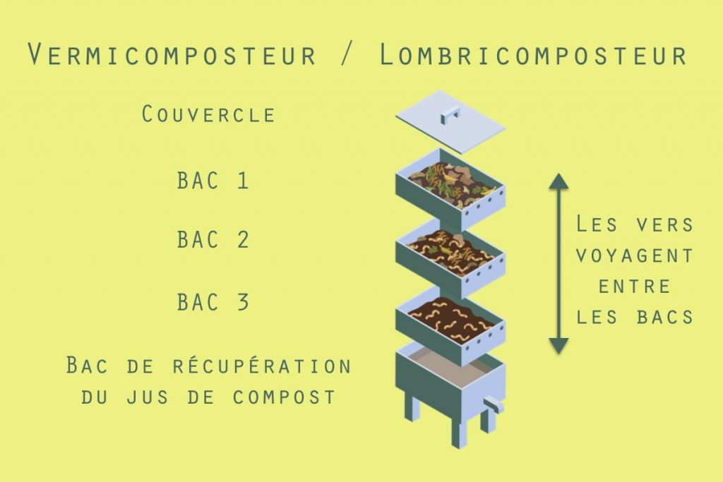 lombricompostage ou le vermicompostage