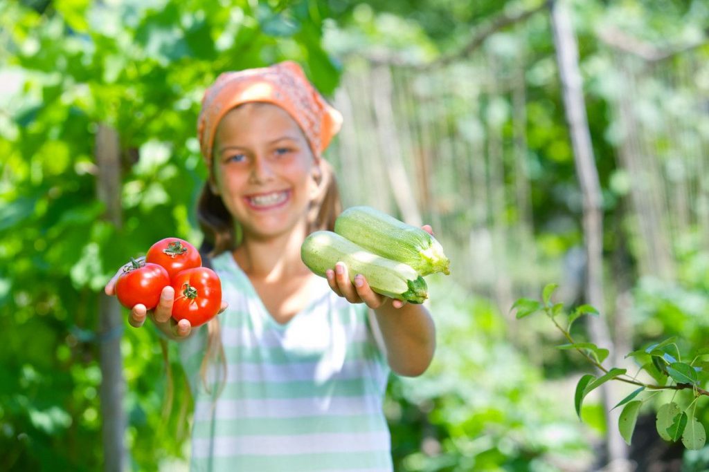 jardin-partage