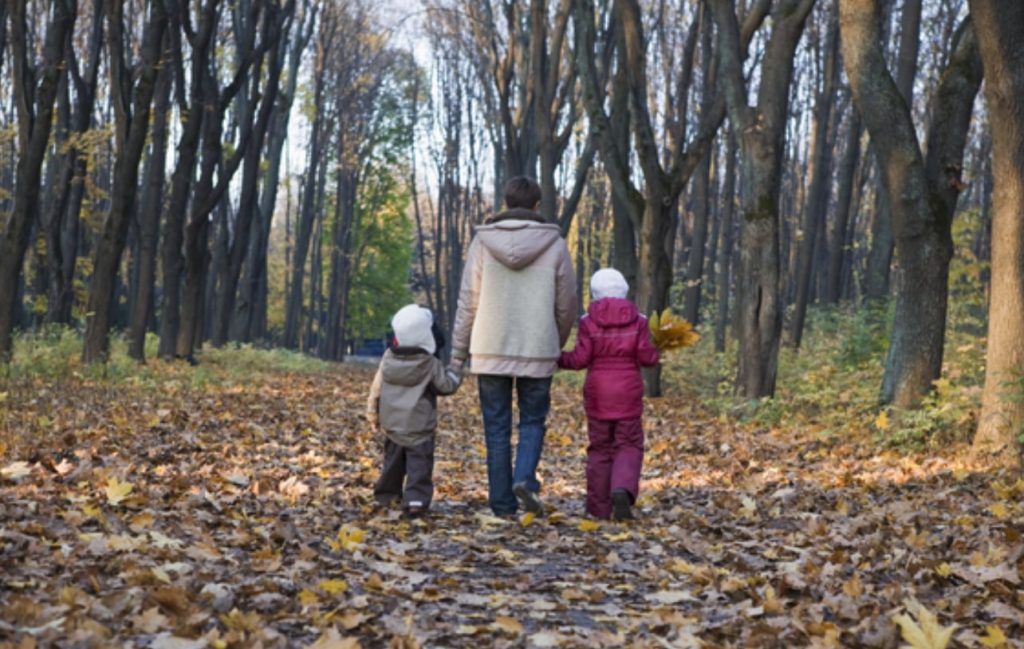 promenade-foret