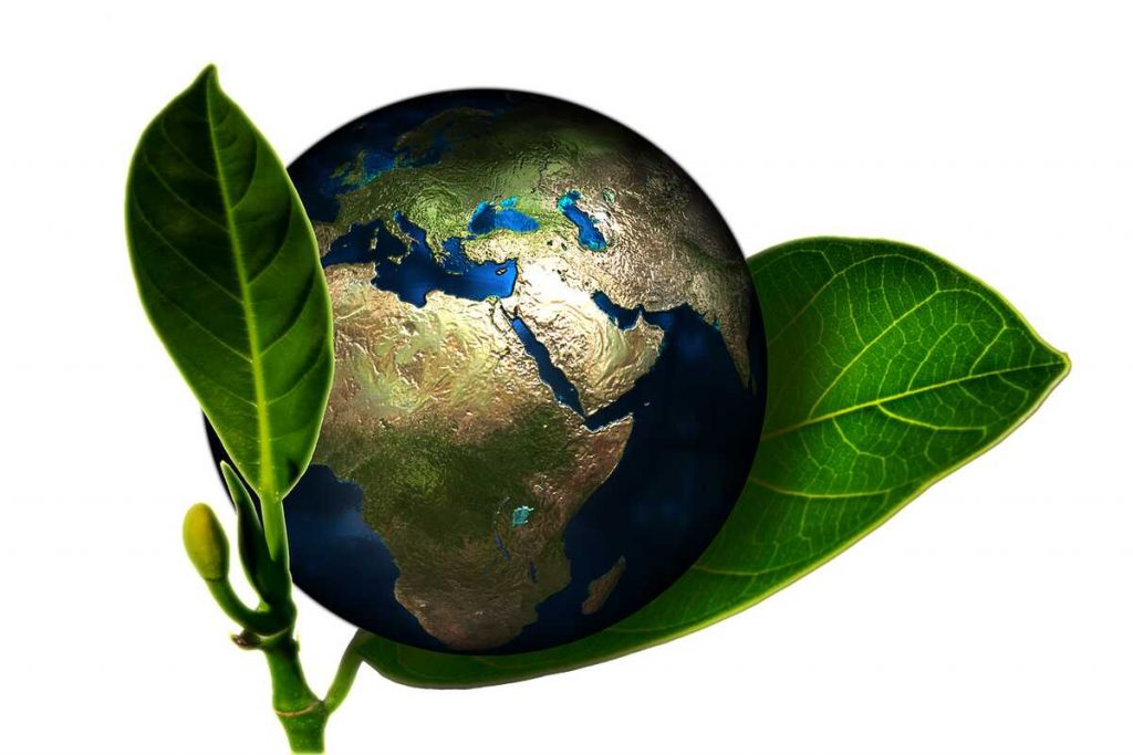 terre bio